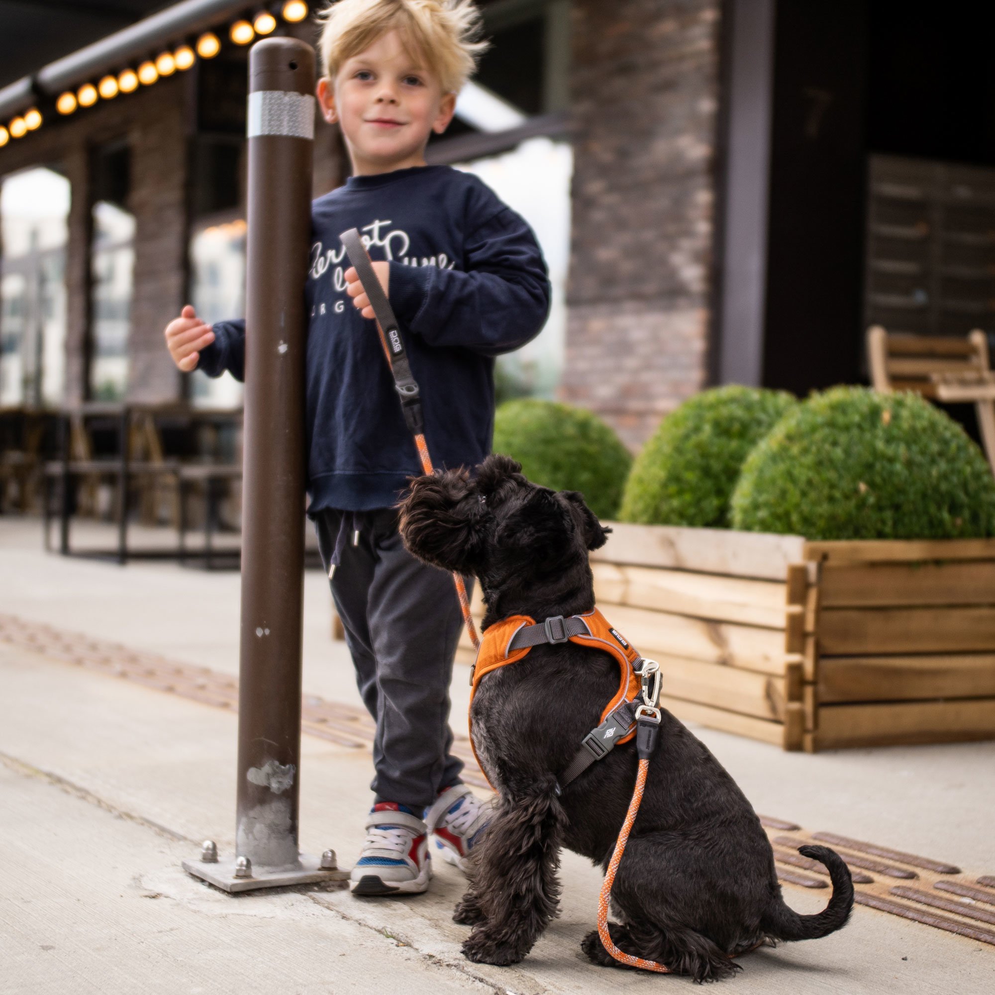 Dog Copenhagen Comfort Walk Pro Hundegeschirr Orange Sun mit Urban Rope Hundeleine