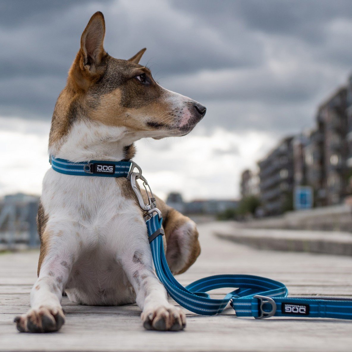 Dog Copenhagen Urban Style Halsband Ocean Blue