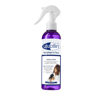 Grau Leucillin antiseptisches Spray für Hunde 250ml