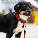 Dog Copenhagen Urban Explorer V3 Halsband