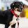 Dog Copenhagen Urban Explorer V3 Halsband