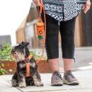 Dog Copenhagen Pouch Organizer V3 Hundeleinentasche