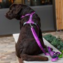 Dog Copenhagen Pouch Organizer V3 Hundeleinentasche