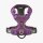 Dog Copenhagen Comfort Walk Pro V3 Hundegeschirr Purple Passion M