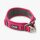 Dog Copenhagen Urban Explorer V3 Halsband Wild Rose L/XL