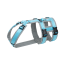 Annyx Brustgeschirr Safety Fun grau/eisblau XS