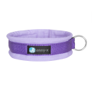 Annyx Steckhalsband Fun Lavendel 5