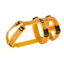 Annyx Brustgeschirr Safety Fun Goldglöckchen M
