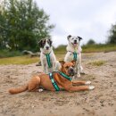 Annyx Brustgeschirr Fun Ozean S