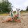 Annyx Brustgeschirr Fun Ozean S
