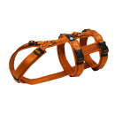 Annyx Brustgeschirr Safety Fun Ahorn M