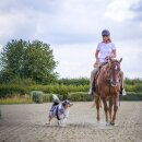 Annyx Brustgeschirr Safety Fun