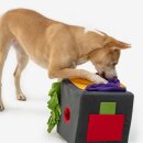 Knauders Schnüffelbox Sniffbox