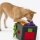 Knauders Schnüffelbox Sniffbox