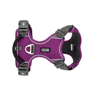 Comfort X Hundegeschirr Mit Doppelverschluss – Größe XL, Farbe Violett