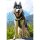 Sledwork Trekking Harness Hundegeschirr