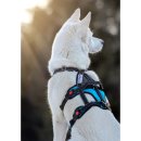 Sledwork Open Range Harness Sicherheits-Hundegeschirr