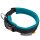 Sledwork Racing Collar - Arctic click Hundehalsband petrol XL