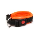 Sledwork Racing Collar - Arctic click Hundehalsband...