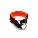 Sledwork Safety Collar - Active Zugstopp-Hundehalsband