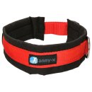 Annyx Steckhalsband Fun