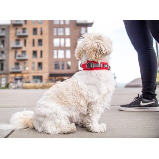 DOG Copenhagen Urban Style Halsband – Größe S, Farbe Mocca, Stylisches Hundehalsband Aus Dänemark