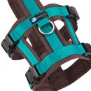 Annyx Brustgeschirr Safety Fun braun/petrol S